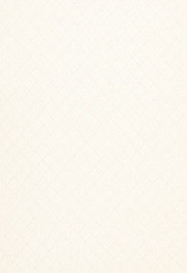 Archipelago Ivorie 67471 by Schumacher Designer Fabric