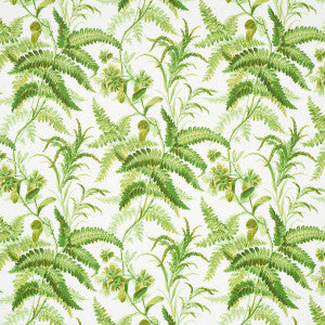 Myers Fern Tropical 5013231 by Schumacher Designer Wallpaper