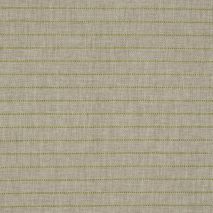 Manning Stripe Indoor/Outdoor Lime 71813 by Schumacher Designer Fabric Indoor/Outdoor Recolors - Swanky Fabrics -
