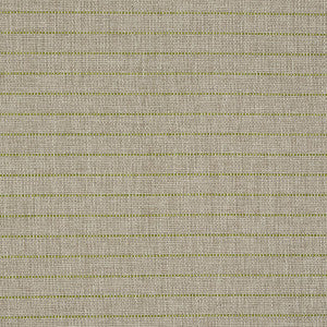 Manning Stripe Indoor/Outdoor Lime 71813 by Schumacher Designer Fabric