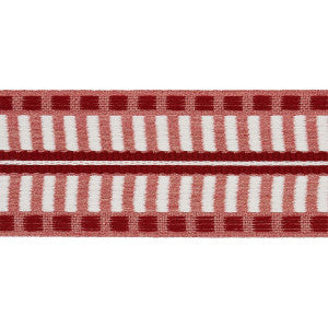 Jacobsen Tape Indoor/Outdoor Rose 73634 by Schumacher Designer Trim
