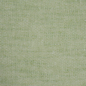 Camarillo Weave Indoor/Outdoor Leaf 73876 by Schumacher Designer Fabric