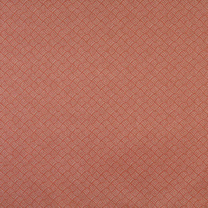 6765 Spice/Metro by Charlotte Designer Fabric