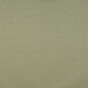6769 Ivy/Metro by Charlotte Designer Fabric