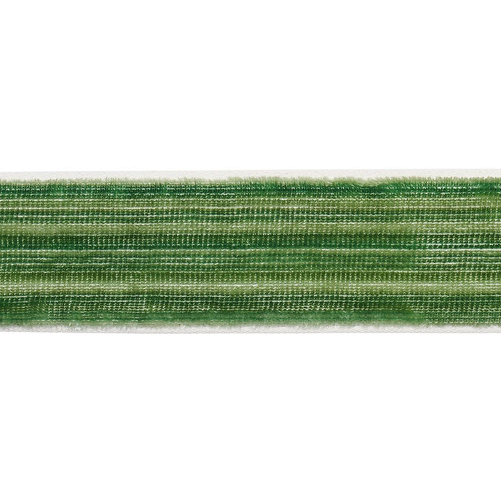 Gaspard Velvet Tape Narrow Emerald 81290 by Schumacher Designer Trim Velvet & Velvet Trims - Swanky Fabrics -