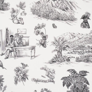 Toussaint Toile Black On Ivory 5013770 by Schumacher Designer Wallpaper