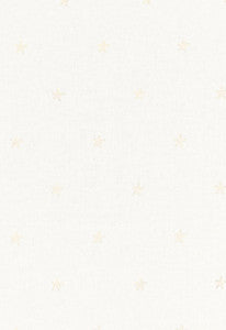 Vincenzo Embroidery Ivory 67811 by Schumacher Designer Fabric