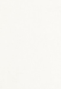 Urbino Sheer Ivory 67850 by Schumacher Designer Fabric