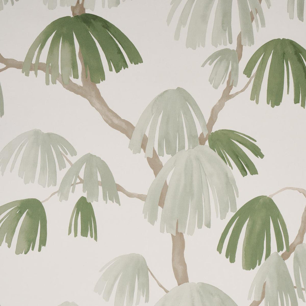 Weeping Pine Sage 5008332 by Schumacher Designer Wallpaper David Kaihoi 54.0" - Swanky Fabrics -