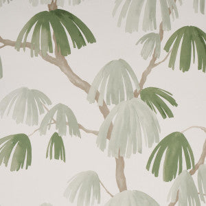 Weeping Pine Sage 5008332 by Schumacher Designer Wallpaper