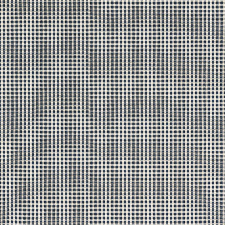 Aruba Check Navy 68040 by Schumacher Designer Fabric CALYPSO PLAIDS & CHECKS COTTON 100% INDIA MARTINDALE 26,000 </p><p>Repeat: Horizontal: 3/8" (1CM) and Vertical: 3/8" (1CM) 53 - Swanky Fabrics -