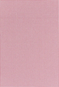 Aruba Check Azalea 68044 by Schumacher Designer Fabric