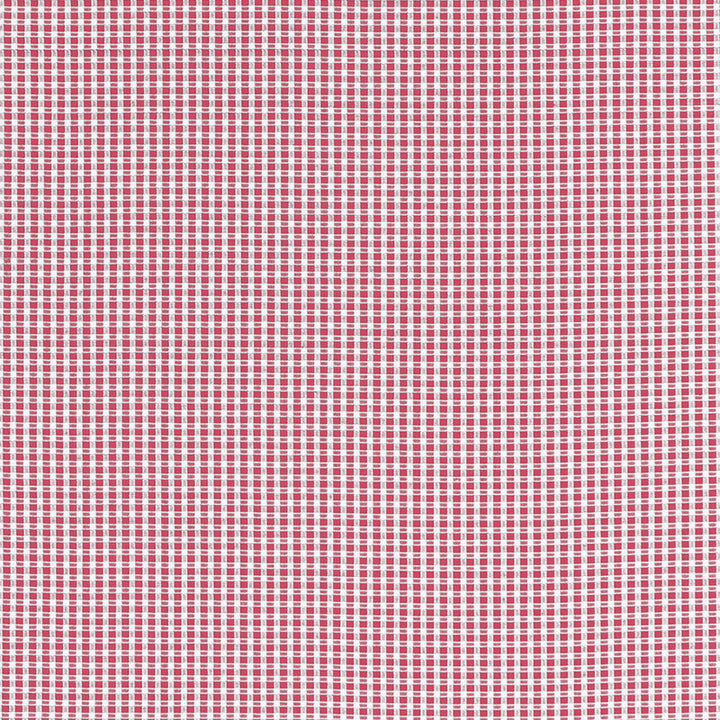 Aruba Check Azalea 68044 by Schumacher Designer Fabric CALYPSO PLAIDS & CHECKS See Sample INDIA HEAVY DUTY </p><p>Repeat: Horizontal: 3/8" (1CM) and Vertical: 3/8" (1CM) 53" WIDE (135CM) - Swanky Fabrics -