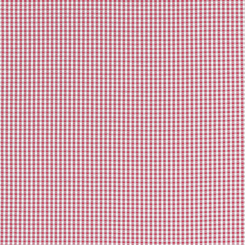 Aruba Check Azalea 68044 by Schumacher Fabric Schumacher Fabric Aruba Check Azalea 68044Fabric COTTON 100% INDIA </p><p>Repeat: H: HORZ. 3/8" (1CM) , V: VERT. 3/8" (1CM) 53 - Fabric Carolina -
