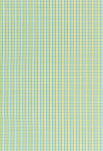 Bahama Check Lagoon 68050 by Schumacher Designer Fabric