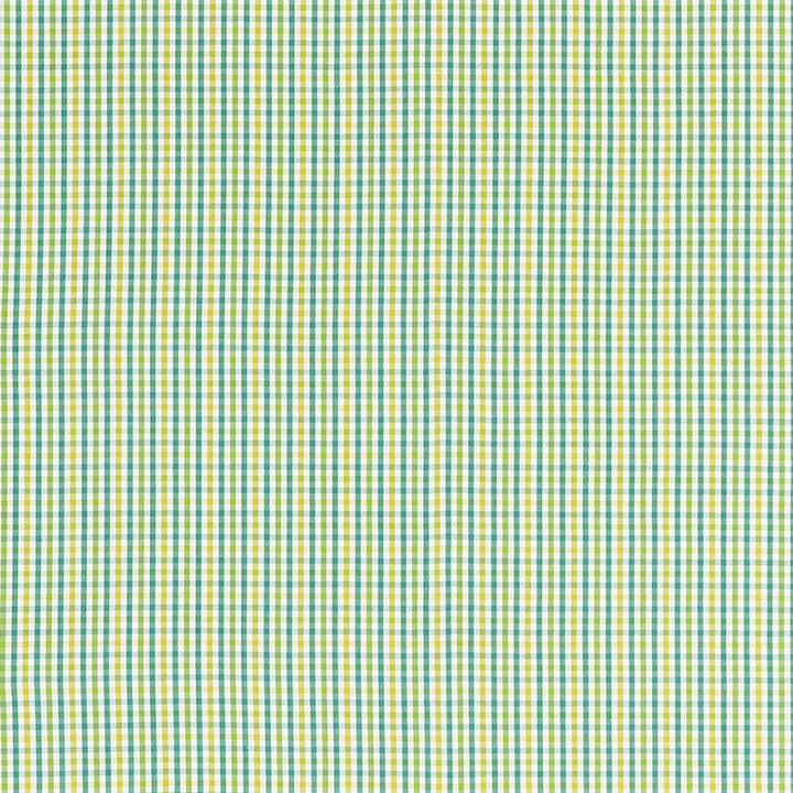Bahama Check Lagoon 68050 by Schumacher Designer Fabric CALYPSO PLAIDS & CHECKS See Sample INDIA MEDIUM DUTY </p><p>Repeat: Horizontal: 1 3/8" (3CM) and Vertical: 1 3/8" (3CM) 54 1/4" WIDE (138CM) - Swanky Fabrics -