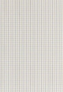 Bahama Check Stone 68053 by Schumacher Designer Fabric