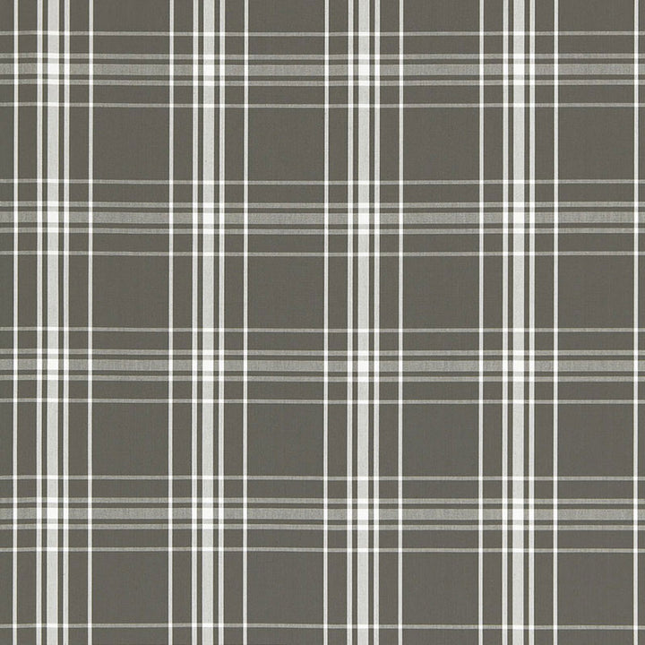 Belize Plaid Charcoal 68094 by Schumacher Fabric Schumacher Fabric Belize Plaid Charcoal 68094Fabric COTTON 100% INDIA </p><p>Repeat: H: HORZ. 6" (15CM) , V: VERT. 6" (15CM) 54.75 - Fabric Carolina -