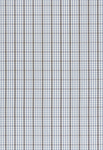 Cozumel Plaid Cornflower 68102 by Schumacher Designer Fabric