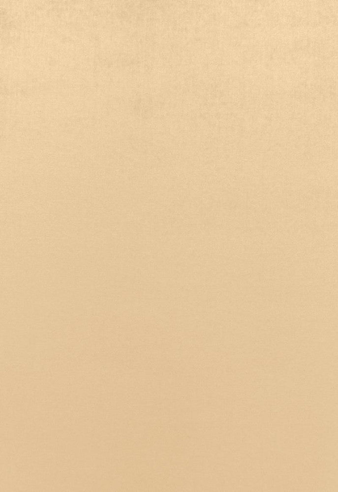 Sophia Velvet Candlelight 68121 by Schumacher Designer Fabric Sophia-Velvet 61% Cotton, 39% Modal Wyzenbeek 20,000 Horizontal: - and Vertical: - 55 - Swanky Fabrics -