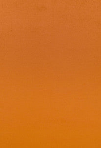 Sophia Velvet Valencia 68132 by Schumacher Designer Fabric