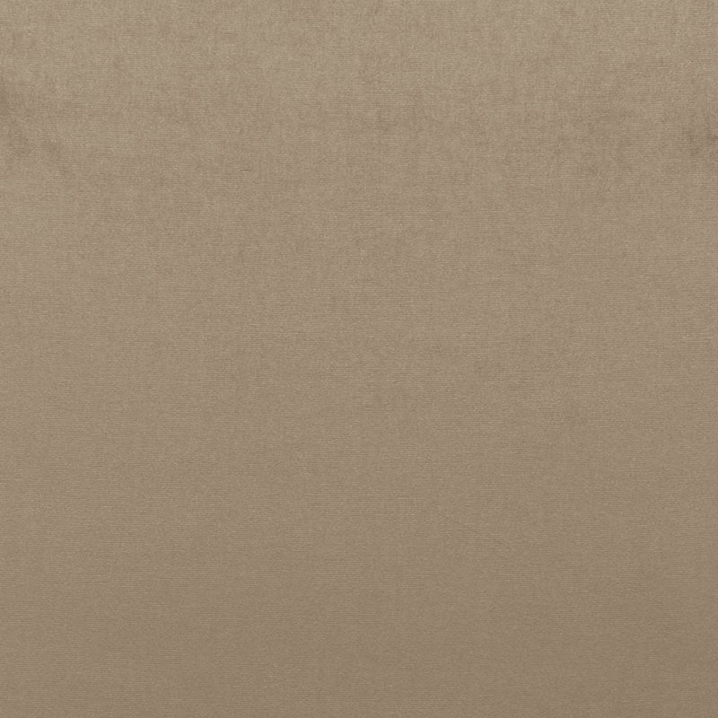 Sophia Velvet Mushroom 68161 by Schumacher Fabric Schumacher Fabric Sophia Velvet Mushroom 68161Fabric COTTON 61% NETHERLANDS </p><p>Repeat: H: , V: 55 - Fabric Carolina -