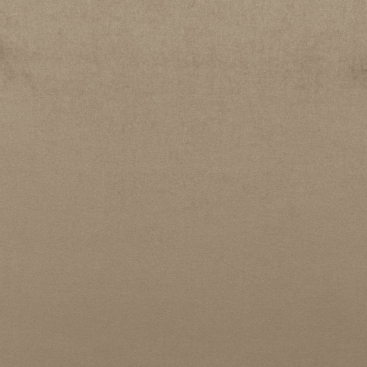 Sophia Velvet Mushroom 68161 by Schumacher Fabric Schumacher Fabric Sophia Velvet Mushroom 68161Fabric COTTON 61% NETHERLANDS </p><p>Repeat: H: , V: 55 - Fabric Carolina -