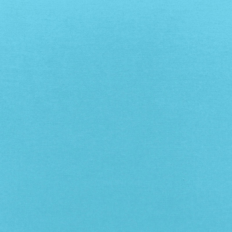 Sophia Velvet Capri 68178 by Schumacher Designer Fabric SOPHIA VELVET COTTON 61% MODAL VISCOSE 39% NETHERLANDS WYZENBEEK 20,000 </p><p>Repeat: Horizontal: and Vertical: 55 - Swanky Fabrics -