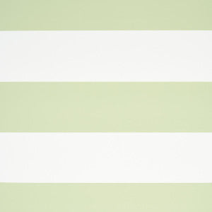 Baxter Stripe Green 5008525 by Schumacher Designer Wallpaper