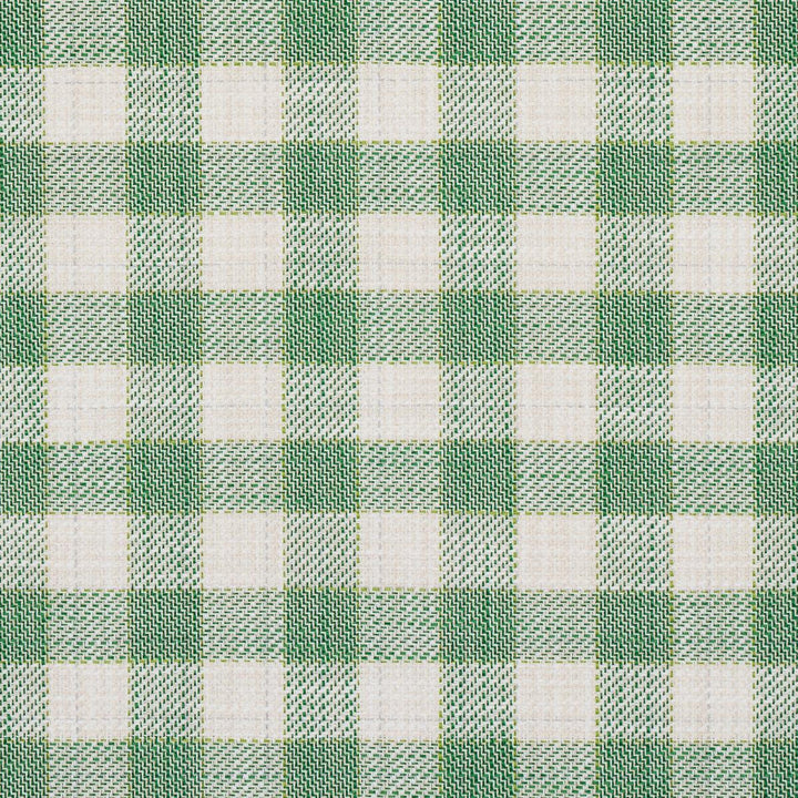Martina Plaid Indoor/Outdoor Green 81411 by Schumacher Designer Fabric Easy Elements 9.0" - Swanky Fabrics -