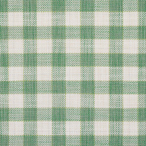 Martina Plaid Indoor/Outdoor Green 81411 by Schumacher Designer Fabric