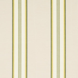 Randolph Stripe Moir Magnolia 81421 by Schumacher Designer Fabric
