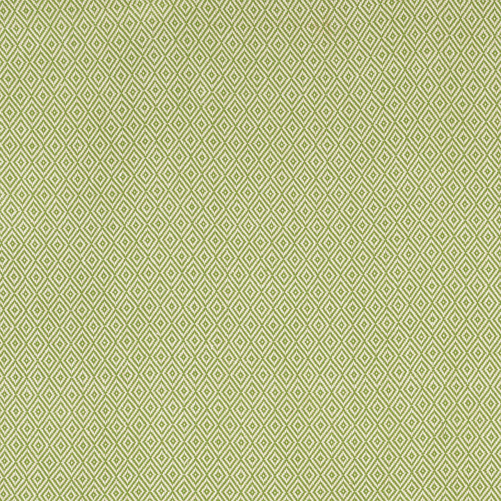 Sofia Diamond Grass 68307 by Schumacher Designer Fabric ESSENTIALS: SMALL-SCALE UPHOLSTERY I See Sample INDIA HEAVY DUTY </p><p>Repeat: Horizontal: 1/2" (1CM) and Vertical: 1 1/2" (4CM) 51 1/4" WIDE (130CM) - Swanky Fabrics -
