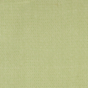 Sofia Diamond Grass 68307 by Schumacher Designer Fabric