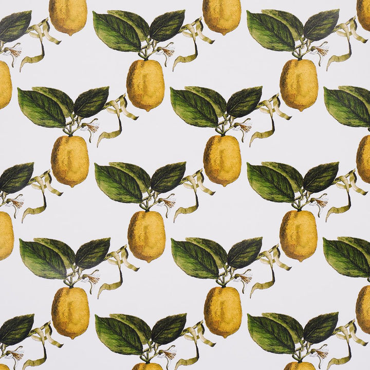 Le Citron Ivory 5014280 by Schumacher Designer Wallpaper Johnson Hartig 10.8" - Swanky Fabrics -