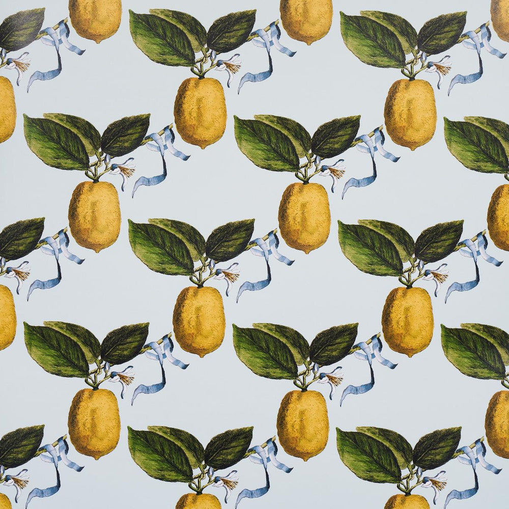 Le Citron Sky 5014281 by Schumacher Designer Wallpaper Johnson Hartig 10.8" - Swanky Fabrics -