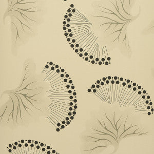 Anemone Black & White 5014970 by Schumacher Designer Wallpaper
