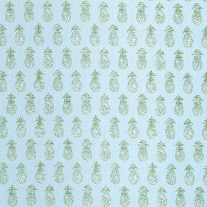 Pia Cove Indoor/Outdoor Aquamarine 181020 by Schumacher Designer Fabric