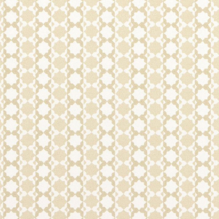 Posy Indoor/Outdoor Neutral 180752 by Schumacher Designer Fabric Mark D. Sikes 9.0" - Swanky Fabrics -