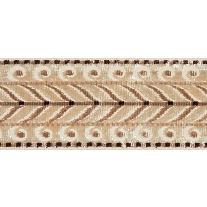 Marion Velvet Tape Champagne 77624 by Schumacher Designer Trim Cut & Patterned Velvets - Swanky Fabrics -