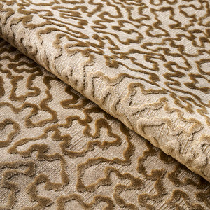 Janis Velvet Champagne 75224 by Schumacher Designer Fabric