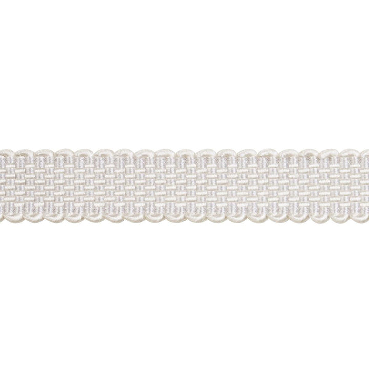 Frances Silk Gimp Grey 83361 by Schumacher Designer Trim Patterson Flynn - Swanky Fabrics -
