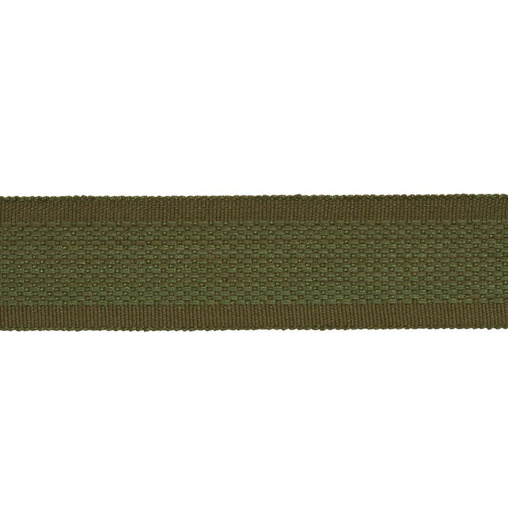 Cardiff Tape Green 83383 by Schumacher Designer Trim Patterson Flynn 1.0" - Swanky Fabrics -