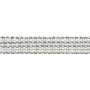 Frances Silk Gimp Mineral 83362 by Schumacher Designer Trim