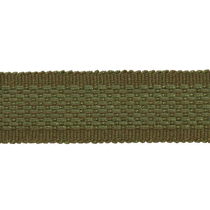 Cardiff Tape Medium Green 83393 by Schumacher Designer Trim Patterson Flynn 1.0" - Swanky Fabrics -