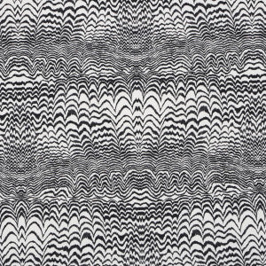 Ink Wave Print Indoor/Outdoor Black 181052 by Schumacher Designer Fabric