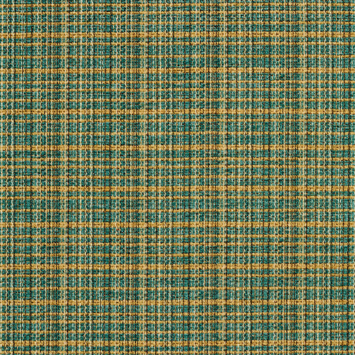 6951 Cypress by Charlotte Designer Fabric Ring Book Page #24A 100% Woven Polyester Asia Exceeds 70,000 Wyzenbeek Rubs (Heavy Duty) Horizontal: 2" x Vertical: 2" 54 Inches - Swanky Fabrics -