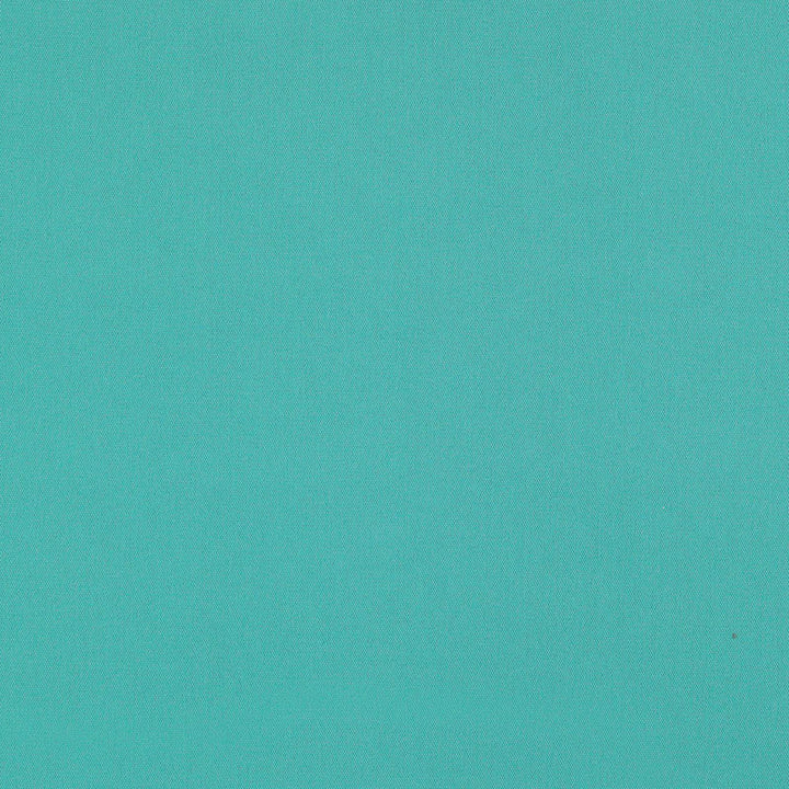 Elliott Brushed Cotton Aqua 69540 by Schumacher Designer Fabric PERFECT BASICS: ELLIOTT COTTON 100% INDIA MARTINDALE 20,000 </p><p>Repeat: Horizontal: and Vertical: 55.875 - Swanky Fabrics -