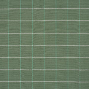 Frannie Windowpane Green 83783 by Schumacher Designer Fabric