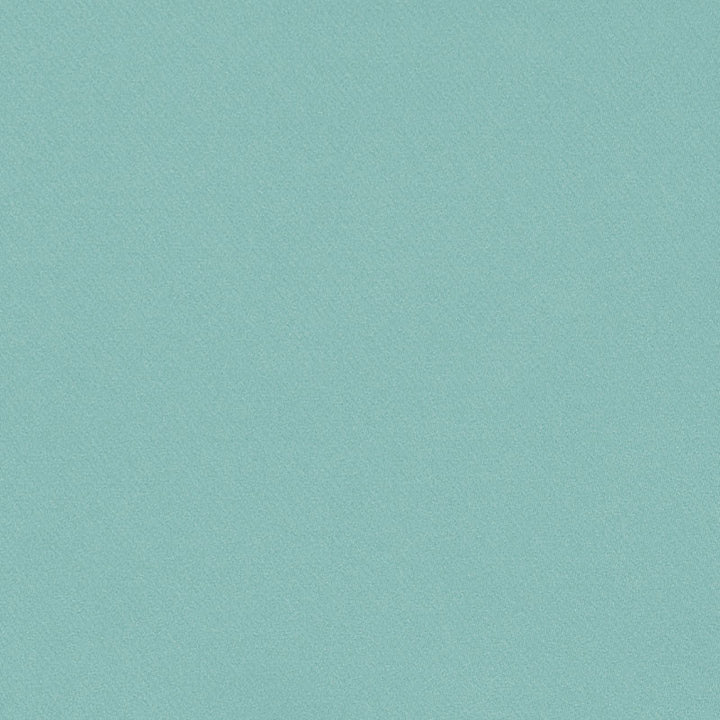 Blake Polished Cotton Veridian 69567 by Schumacher Fabric Schumacher Fabric Blake Polished Cotton Veridian 69567Fabric COTTON 100% INDIA </p><p>Repeat: H: , V: 55.5 - Fabric Carolina -